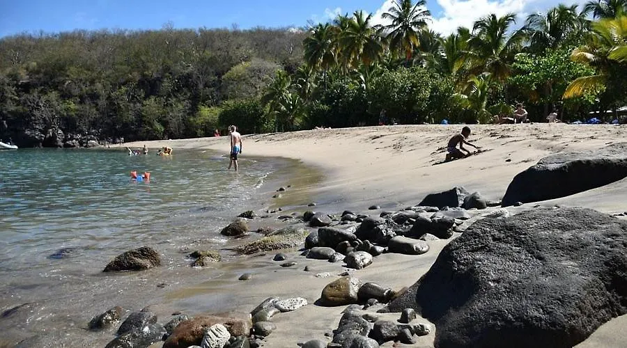 La Source : Mer Et Source D'Eau Chaude Bouillante Vila